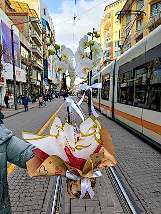 2 Dallı Şık Beyaz Orkide